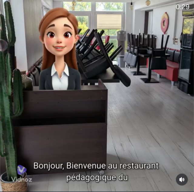 Impossible de lire la video